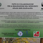 Prendersi cura della nostra casa: perché ho firmato il primo Patto di Collaborazione a Legnano