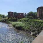 Il Parco Castello di Legnano come “Hub della Biodiversità”